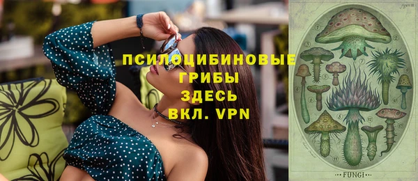 эйфоретик Медногорск