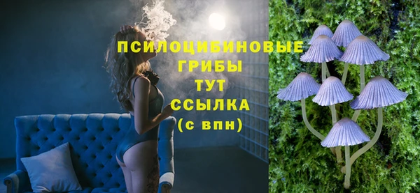 синтетический гашиш Медвежьегорск