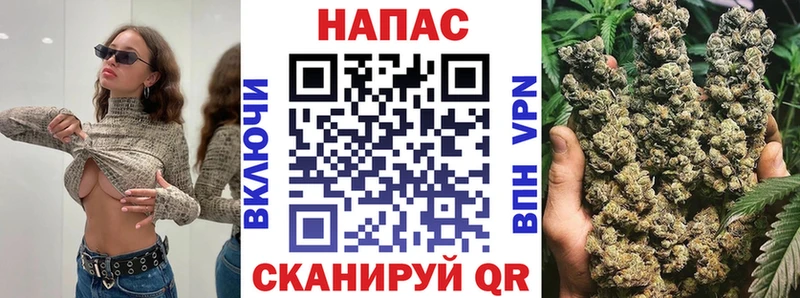 Шишки марихуана сатива  Шиханы 